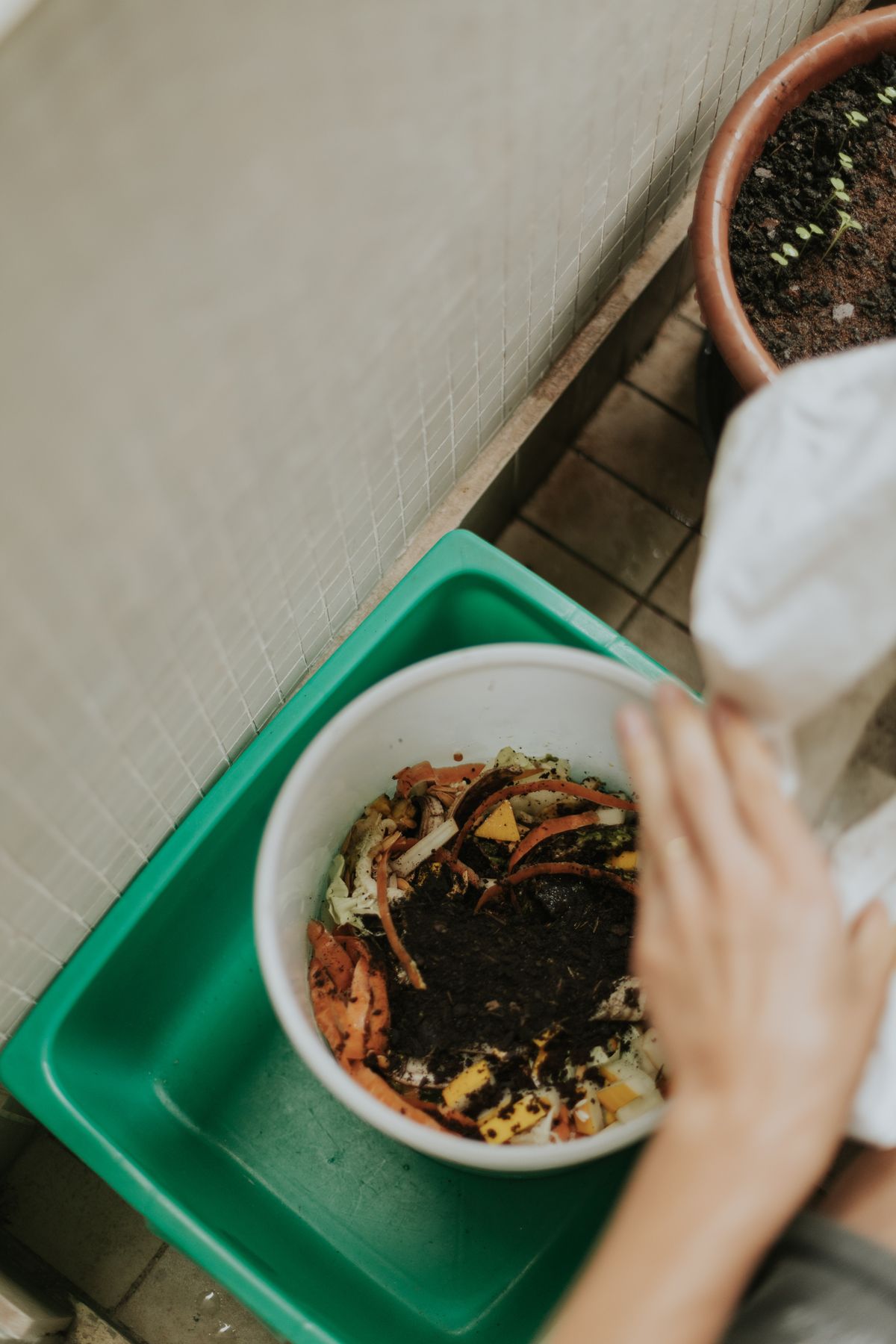 Adding food scraps to a compost container