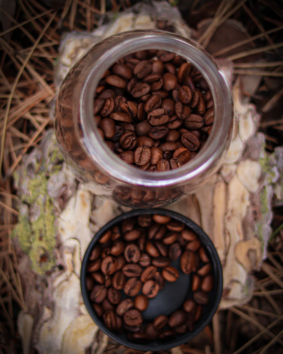 Coffee beans in a glass jar
