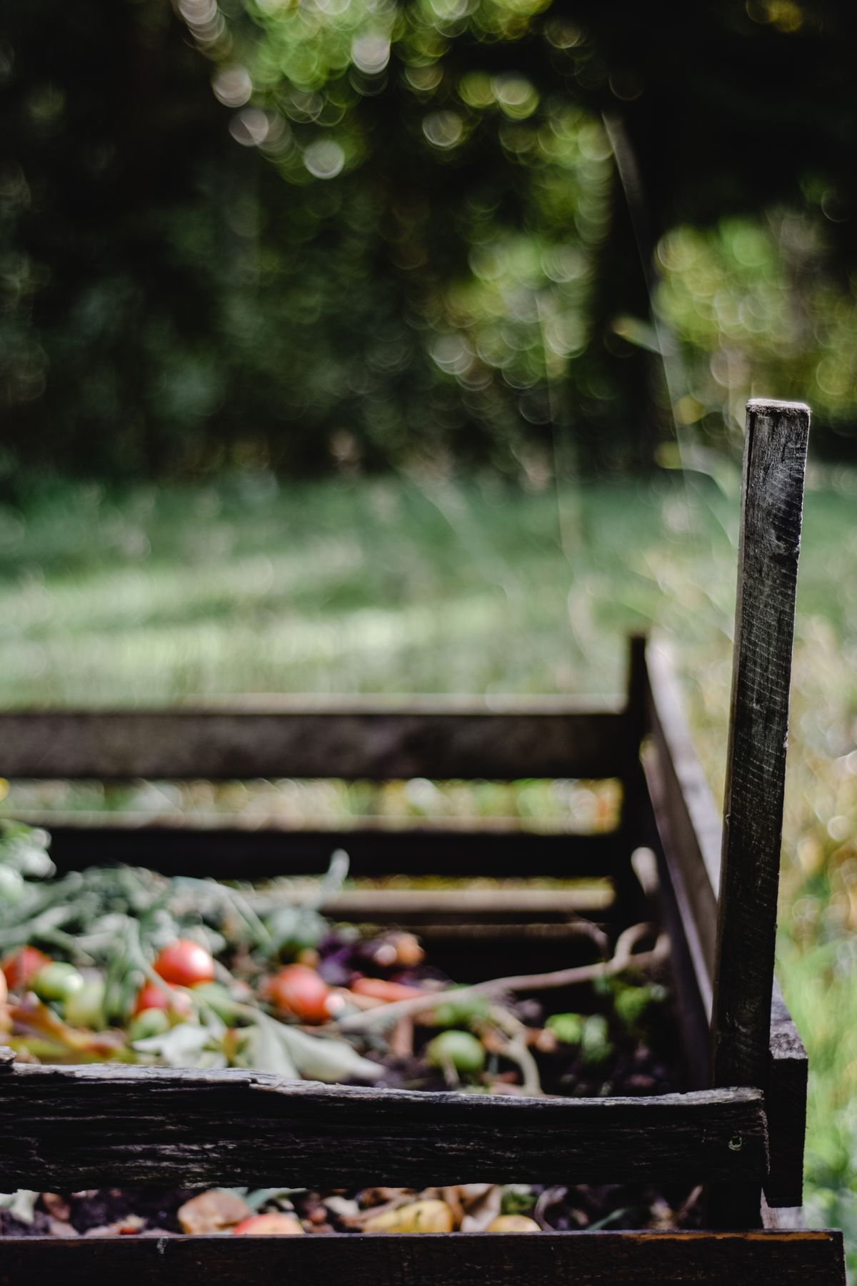 Wooden compost bin in a garden