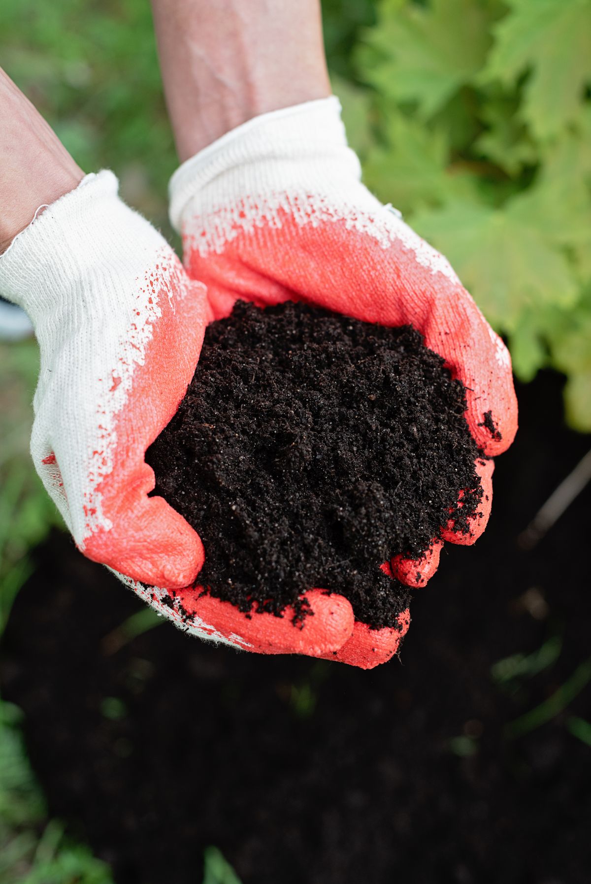 Gloved hands holding dark soil