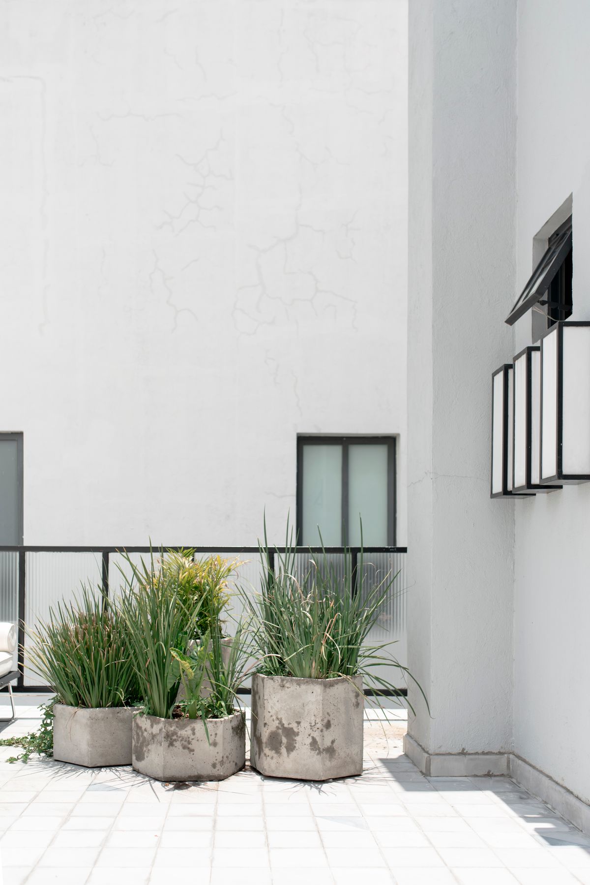 Plant pots on a small balcony